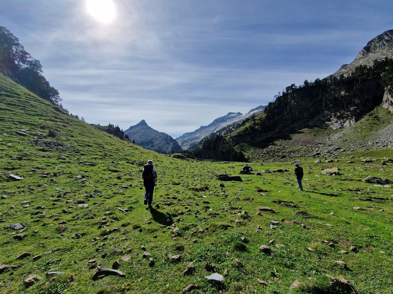 Alpenweiden bij Aiguilluts