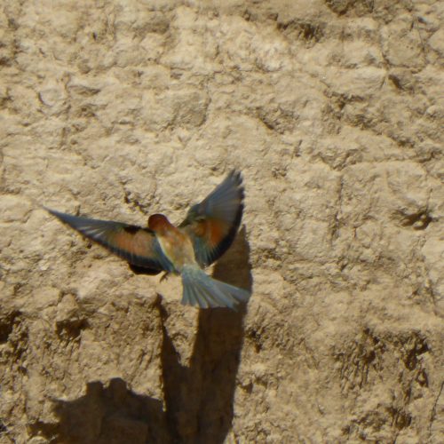 P1040805